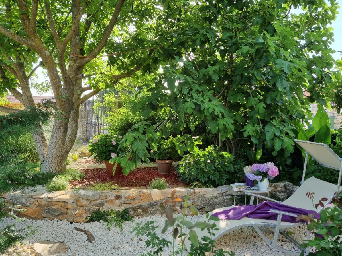 Stonehouse Ana With Jacuzzi Rovinj-Krmed Vila Exterior foto